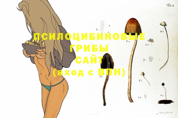 кокаин VHQ Гусиноозёрск