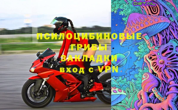 марки lsd Гусь-Хрустальный