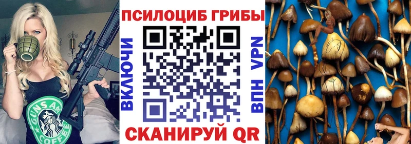 Галлюциногенные грибы GOLDEN TEACHER Новая Ладога