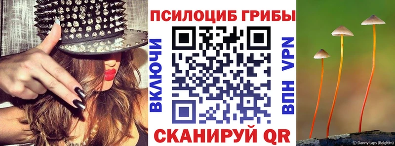 Псилоцибиновые грибы Cubensis  Новая Ладога 